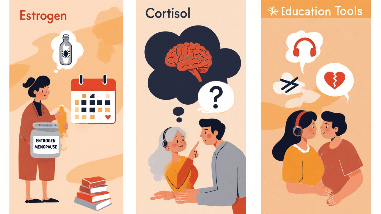 Three cartoon panels showing hormone issues, stress, and communication problems with a tutor pointing to education tools.