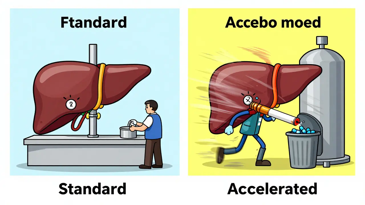 Split-screen cartoon showing a normal liver versus a turbo-charged liver caused by smoking.